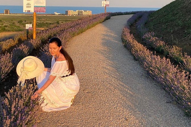 Aroma sampling of 5 Bulgarian Lavender varieties at DiVes Winery - Terraces, sea views, and the best photo opportunities