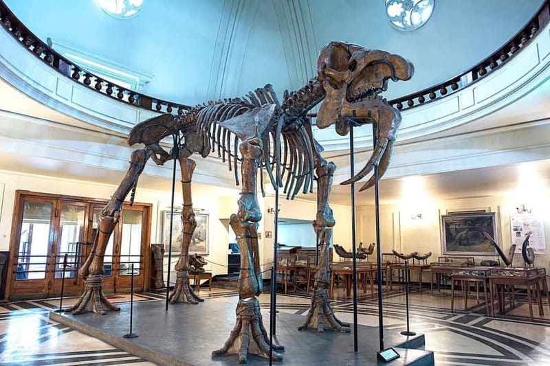 Audio Guide for Museum Paleontology and Historical Geology - Key points at a glance