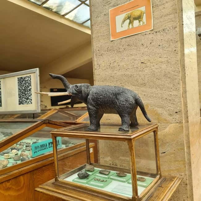 Audio Guide for Museum Paleontology and Historical Geology - More than 200,000 fossils, rocks, and maps