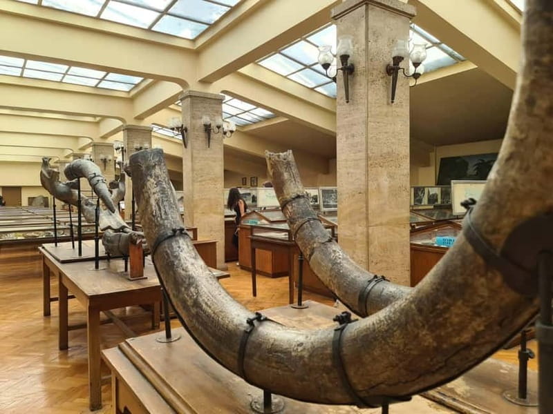 Audio Guide for Museum Paleontology and Historical Geology - Walking through Bulgaria’s oldest university