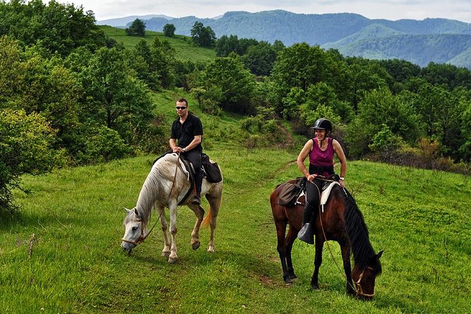 Balkan Horse Riding - Glozhene Monastery Ride - Meeting the horses in Golyam Izvor