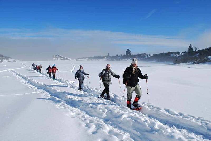 Bansko: Easy snowshoeing Pirin National Park & thermal spa - Learning snowshoes on an easy to moderate route