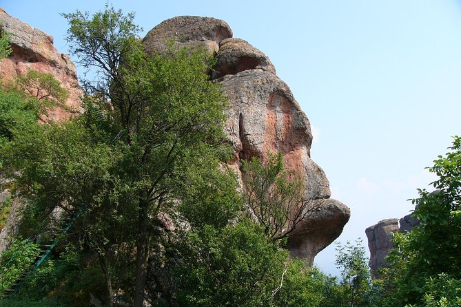 Belogradchik Full-day Tour from Sofia - The drive, vehicle, and group size