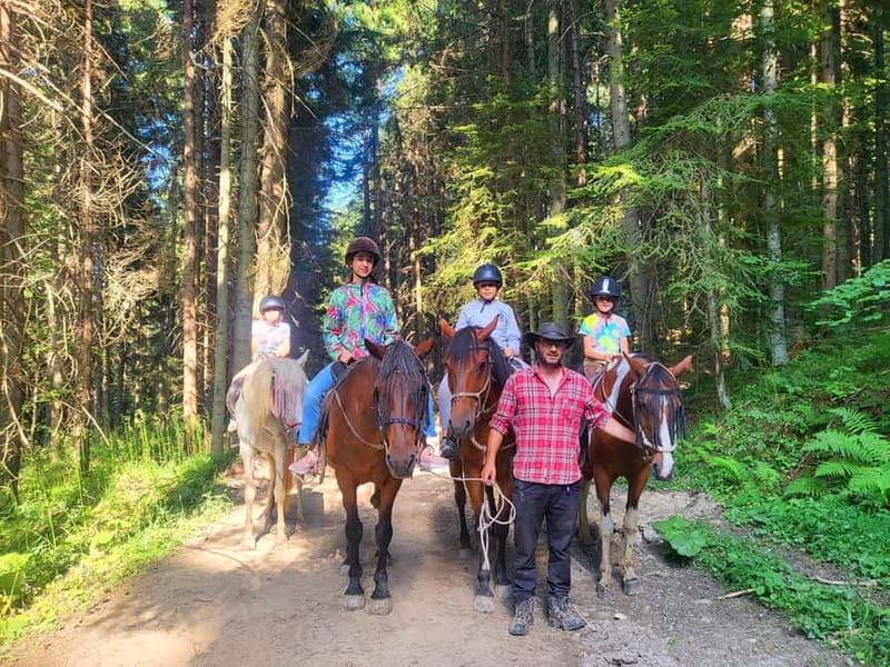 Borovets: Horse Riding Experience - Key points at a glance