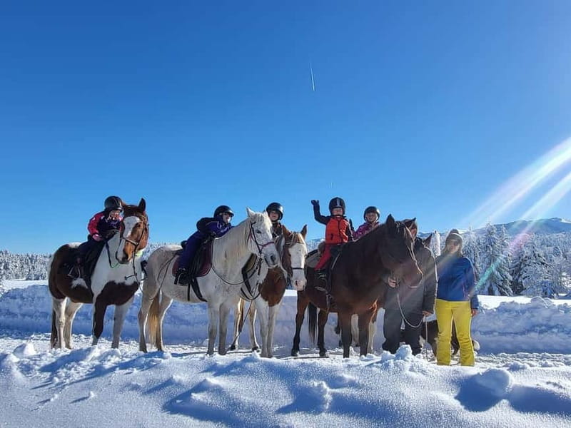 Borovets: Horse Riding Experience - From Borovets to Butch Ranch in 15 minutes