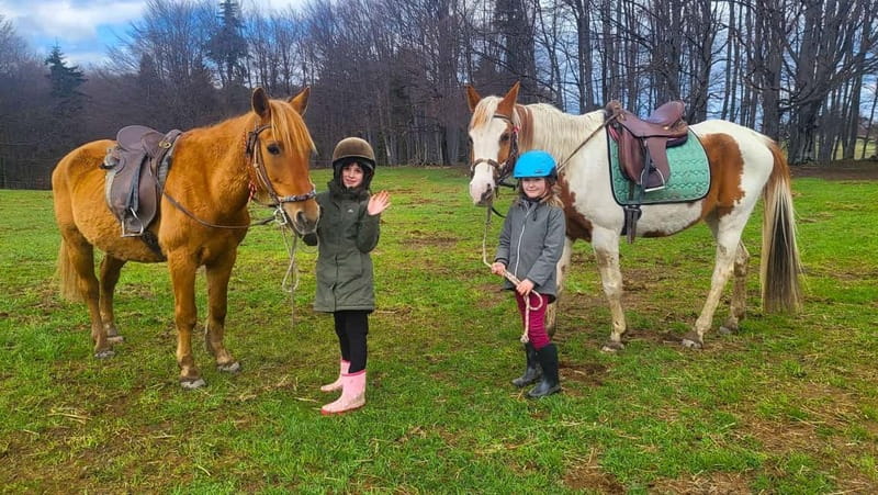 Borovets: Horse Riding Experience - What more confident riders can expect