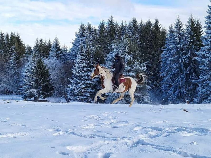 Borovets: Horse Riding Experience - Is $73 a fair price?