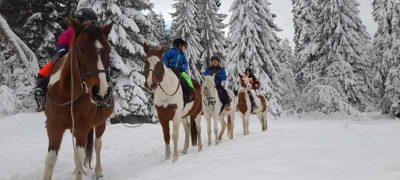 Borovets: Horse Riding Experience - What to wear and what to leave behind