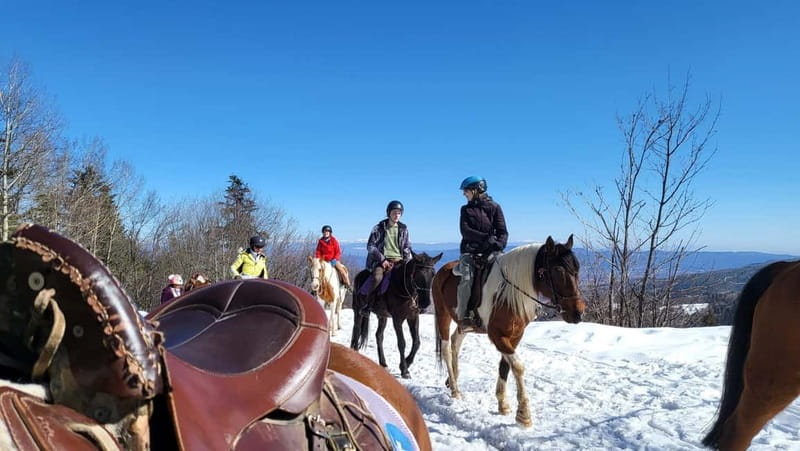 Borovets: Horse Riding Experience - Who will enjoy this most
