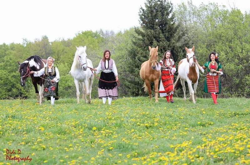 Borovets: Horse Riding Experience - What beginners do during the first lesson
