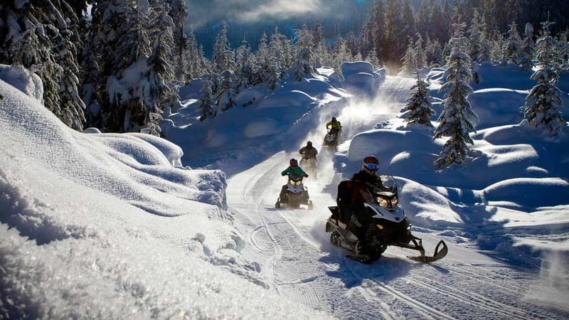 Borovets: Snowmobile Adventure - The 45-minute forest ride