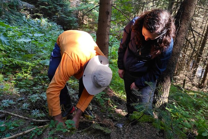 Culinary Adventure To The Fungi And Botanical Kingdom Of Bulgaria - From Sofia streets to Lozen Mountain woods