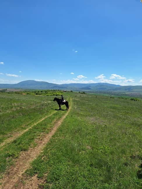 Escape Sofia: horse ride through Bulgaria´s beauty - Should you book this horse ride from Sofia?