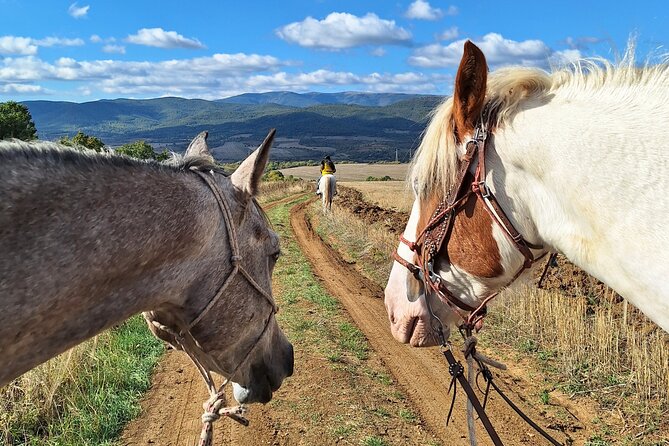 Escape Sofia: horse ride through Bulgaria´s beauty - Meeting the horses before the ride