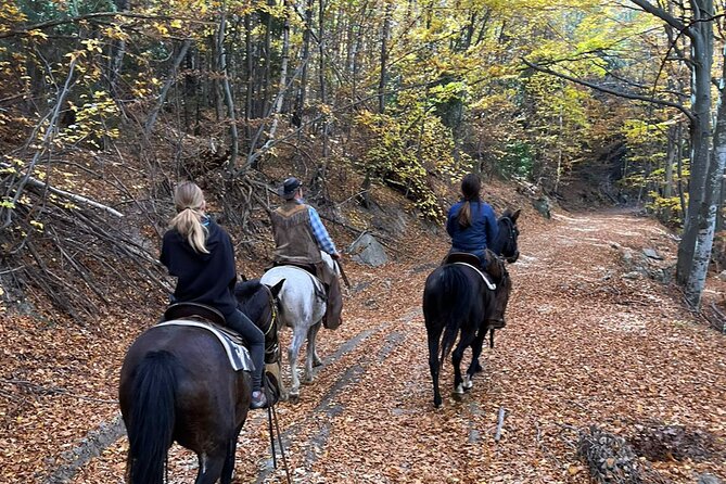 Exclusive Sofia: Nevsky, Vitosha Hoof, Boyana, Horse Ride & Spa - Plana Mountain and the horse ride at Ranch Mechata Stapka