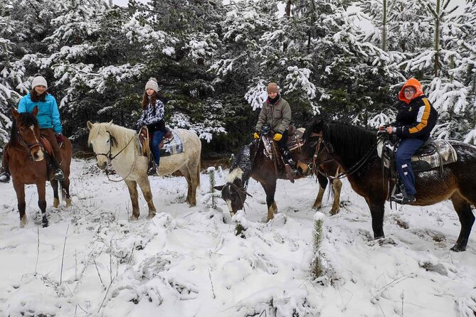 Exclusive Sofia: Nevsky, Vitosha Hoof, Boyana, Horse Ride & Spa - Guides, transport, and the pace of the day