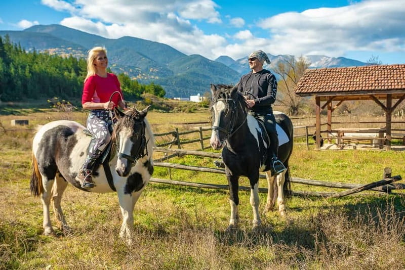 From Bansko: Horse Riding Experience - Meeting your horse in Dobrinishte