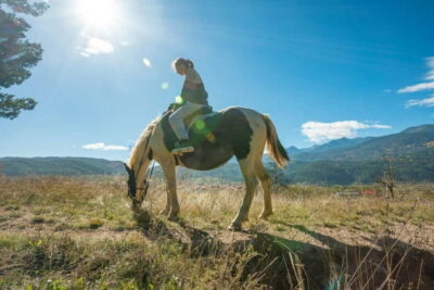Horse Riding Experience