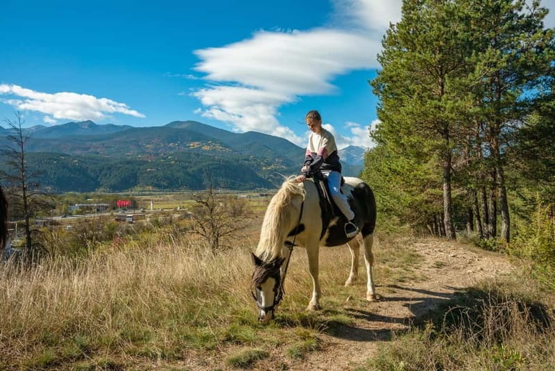 From Bansko: Horse Riding Experience - Fields, forest, and riverside scenery