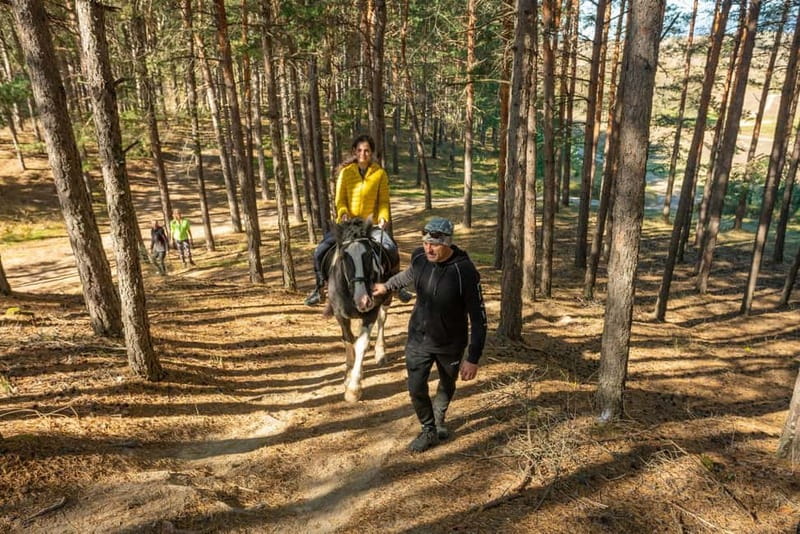 From Bansko: Horse Riding Experience - What $56 gets you