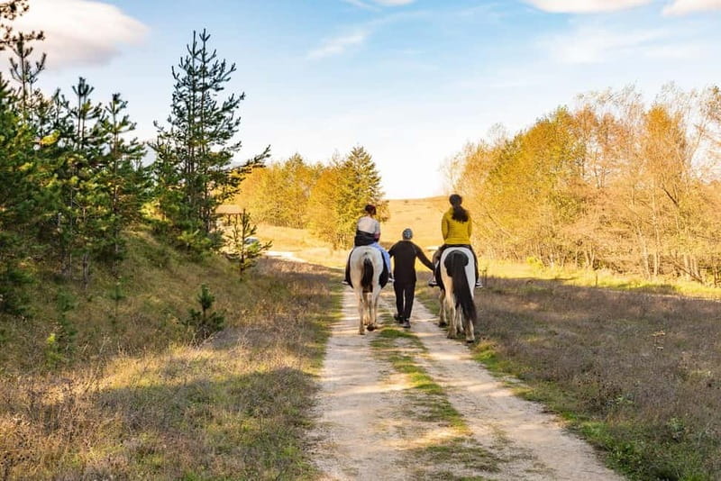 From Bansko: Horse Riding Experience - How much instruction will you receive?