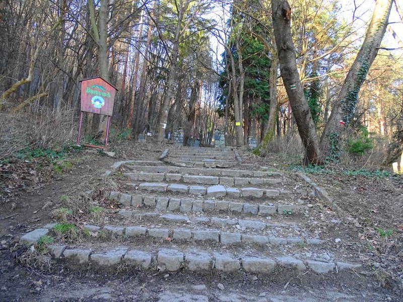From Sofia: One-Day Tour of Vitosha Mountain - Key points to know before you book