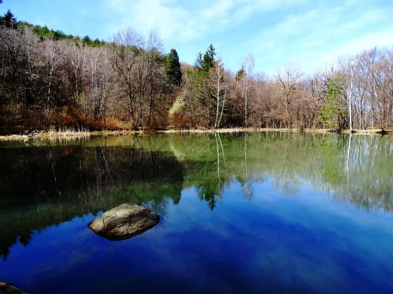 From Sofia: One-Day Tour of Vitosha Mountain - Why Vitosha works so well as a Sofia day trip