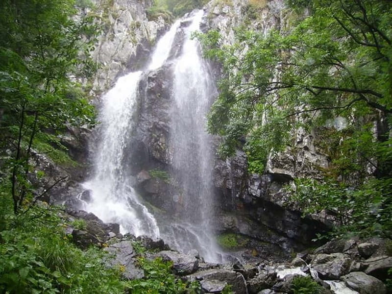 From Sofia: One-Day Tour of Vitosha Mountain - Momina Skala offers a welcome pause
