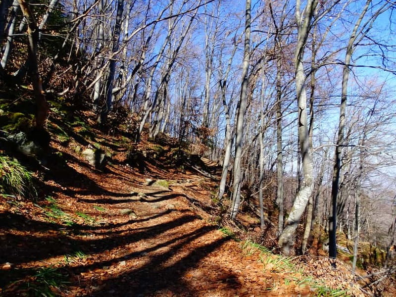 From Sofia: One-Day Tour of Vitosha Mountain - Boyana Waterfall brings the first big reward