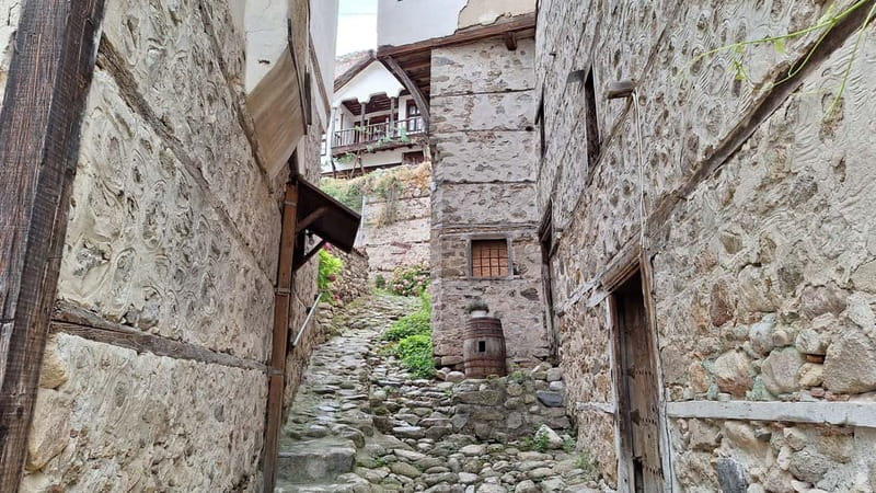 From Sofia: Rila Monastery & Melnik Day Tour - Museum time, free minutes, and mekitsi