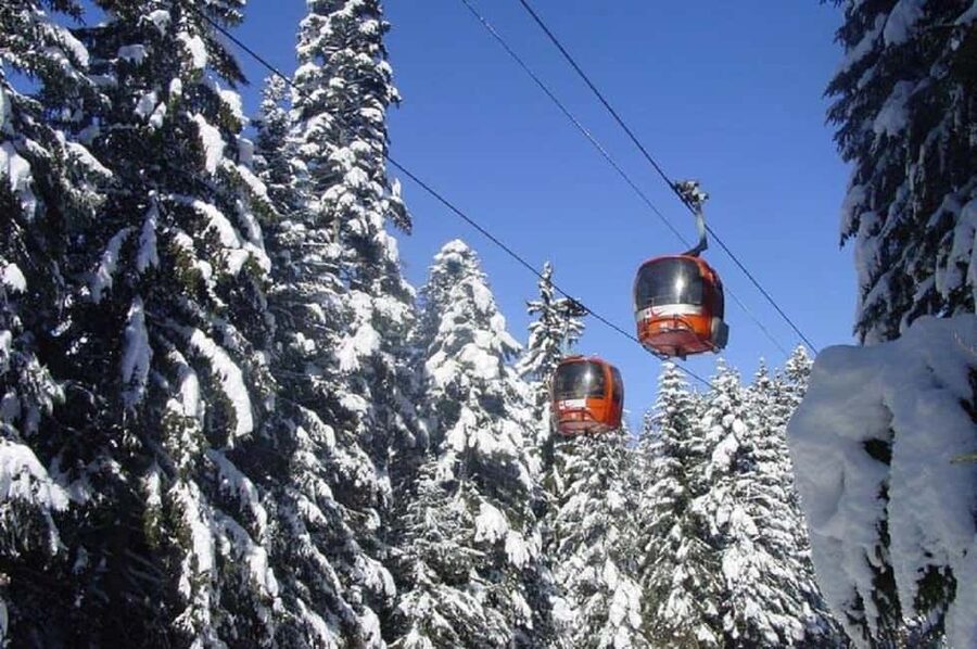 From Sofia: Rila Mountain Winter Day Trip - Nature and SPA! - Timing, cancellation, and meeting details