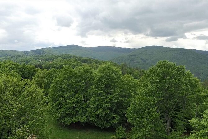 From Sofia: Serbia and Macedonia Trip - Lunch in a mountain setting