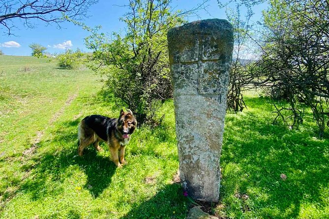 From Sofia The Beauty of the Countryside and a Homemade Lunch - Booking, cancellation, and useful planning details