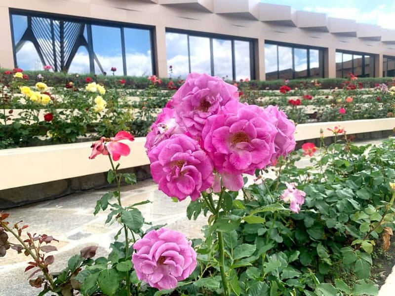 From Sofia: The Rose Valley & Buzludzha Monument Day Tour - What the guides add to the experience