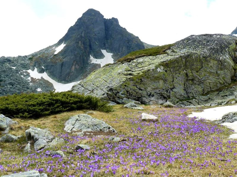 From Sofia: The Seven Rila Lakes Full-Day Self-Guided Tour - Why the Seven Rila Lakes are worth the long day