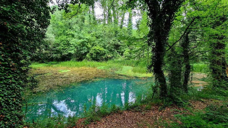 From Sofia: Zlatna Panega River Hike with Springs Visit - The day’s best features at a glance