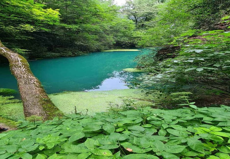 From Sofia: Zlatna Panega River Hike with Springs Visit - Entering the Zlatna Panega spring cave
