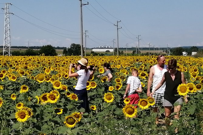 Full-Day Small-Group Tour of Bulgaria by Minivan with Lunch - Pobiti Kamani and the stone desert