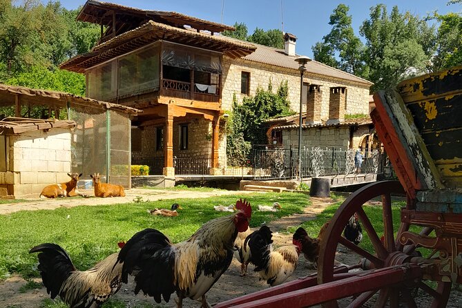Full-Day Small-Group Tour of Bulgaria by Minivan with Lunch - Museum of Mosaics and the Roman villa