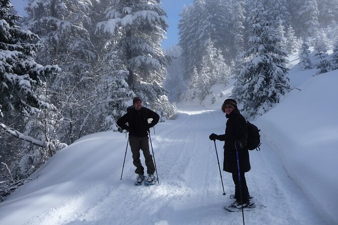 Full-day Vitosha Mountain Snowshoe Hiking Tour from Sofia - From Sofia’s streets to Aleko’s snow