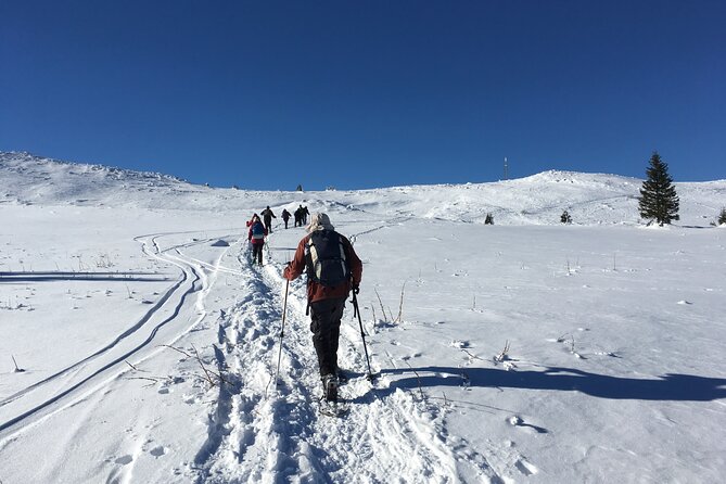 Full-day Vitosha Mountain Snowshoe Hiking Tour from Sofia - What makes Cherni Vrah worth the effort