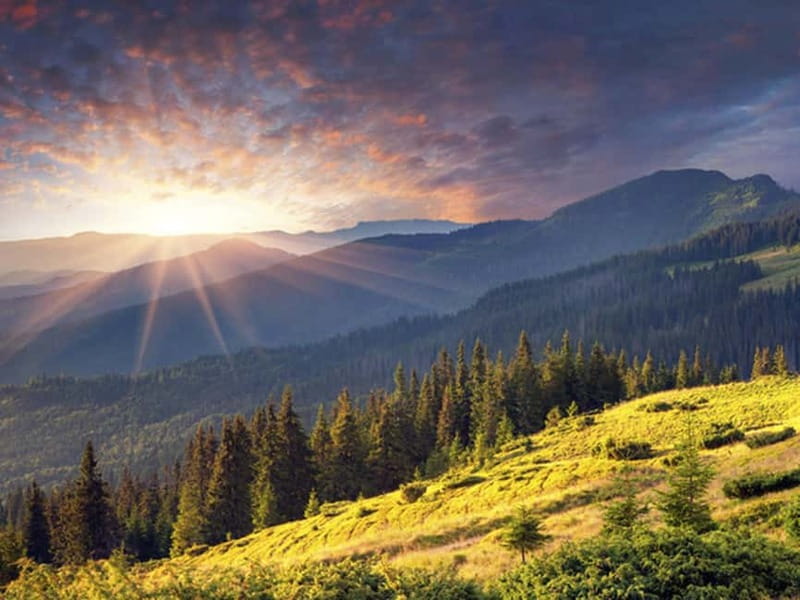 Half Day Tour - Sofia and the mountains with Thermal Spa - Lunch at Limoncheto