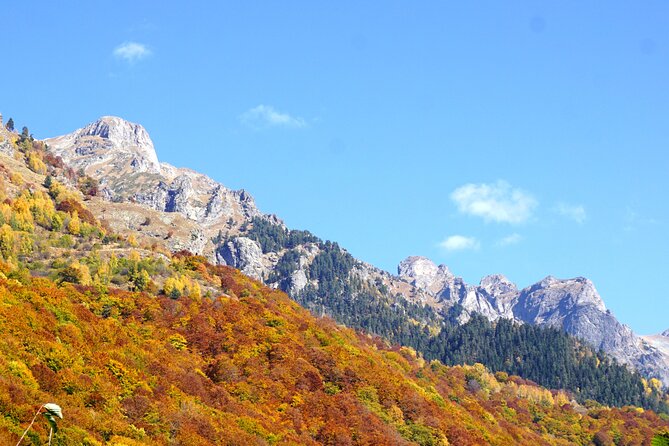 Incredible Day tour from Sofia to 7 Rila lakes and Rila monastery - Guides who shape the day