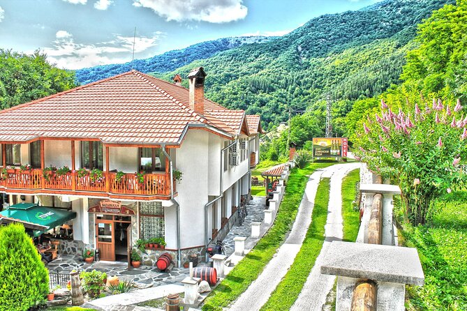 Luxury Day Trip to Boyana Church and Rila Monastery - What the $308.81 Price Actually Buys You