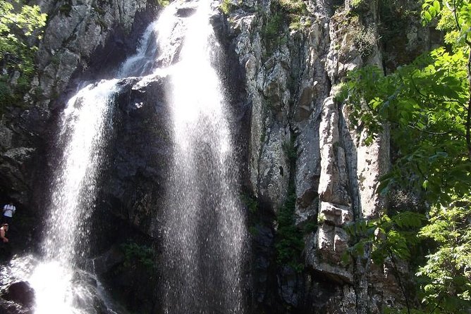 Mt. Vitosha and Boyana Waterfall Hiking Tour from Sofia - What the guides add to the day