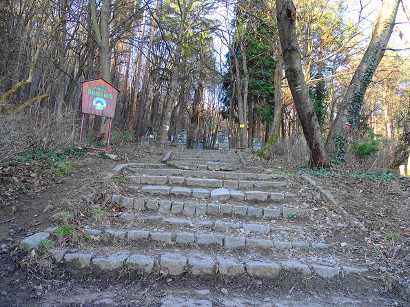 Mt. Vitosha and Boyana Waterfall Hiking Tour from Sofia - Is $131.81 good value?