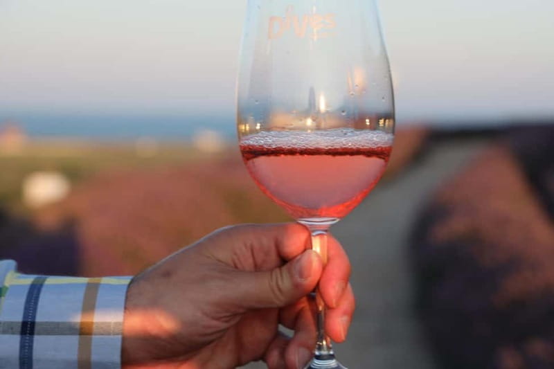 Nessebar: Guided Tour in English with Wine Tasting - Pickup from St Vlas, Sunny Beach, and Nessebar