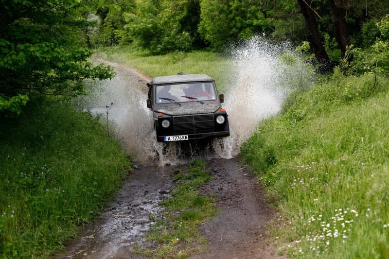 OFFroad Adventure with Lunch and Drinks - The Walnut Ranch adds games, animals, and a pause