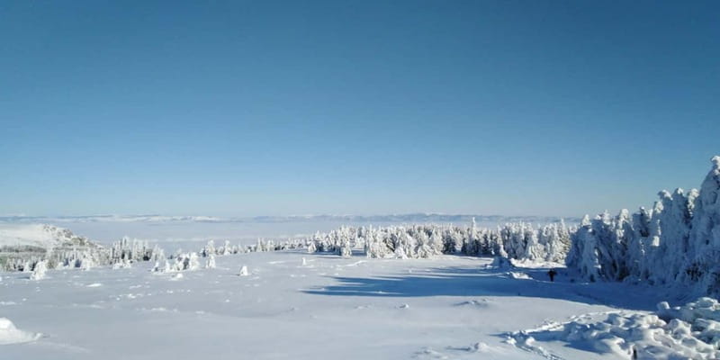 One-Day Hiking with Snowshoes on Vitosha - Why Vitosha Works So Well for a Winter Day Trip