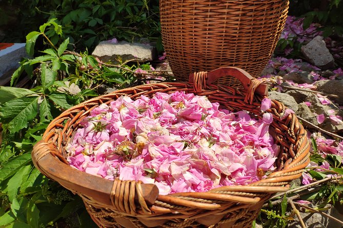 Picking Roses Workshop & Extracting Rose Oil in the Rose Valley - An old house and a mini distillery